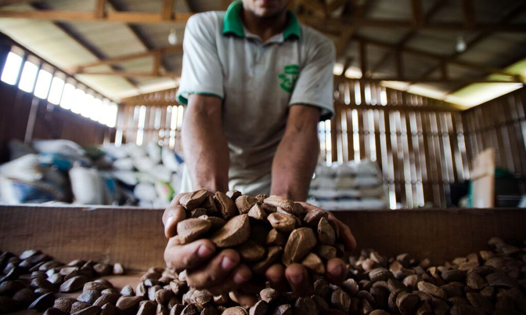 Mapa seleciona projetos de consórcios públicos para fortalecer produtos e serviços da sociobiodiversidade.